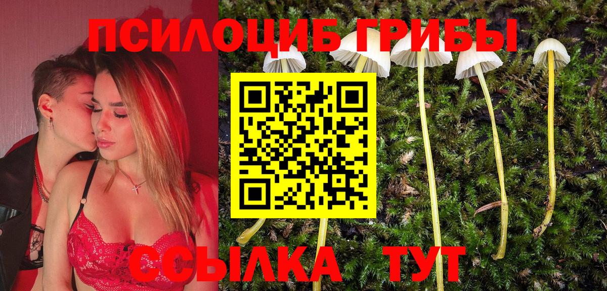 Галлюциногенные грибы MAGIC MUSHROOMS  Вход с VPN  где купить наркоту  Кингисепп  Псилоцибиновые грибы Psilocybe 